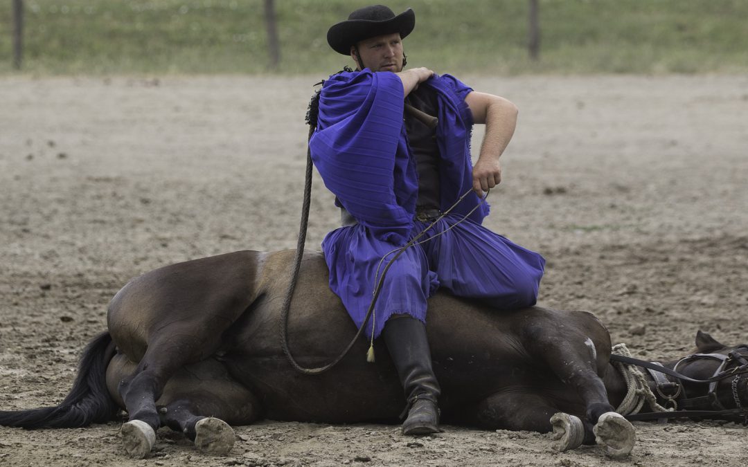 Európai Bíróság: uniós jogba ütközik a magyar földtörvény